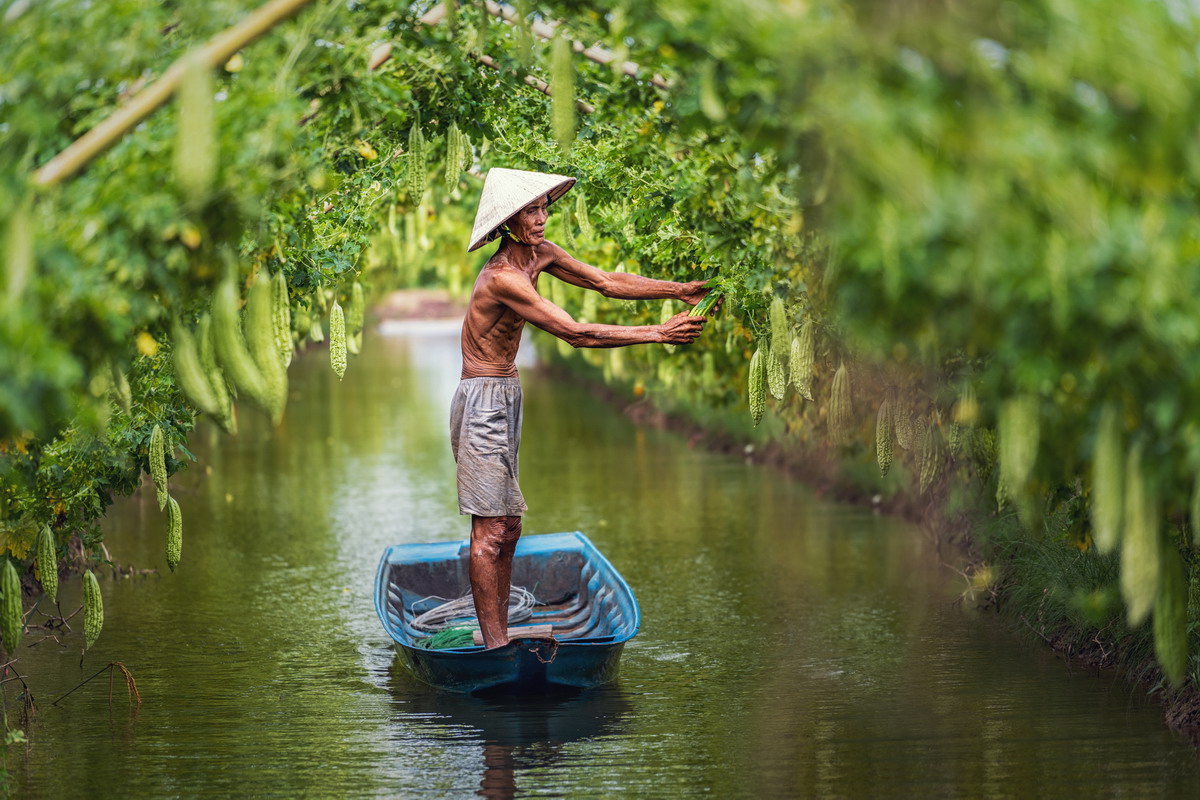 Le vie meno battute: avventure insolite nel cuore del Vietnam