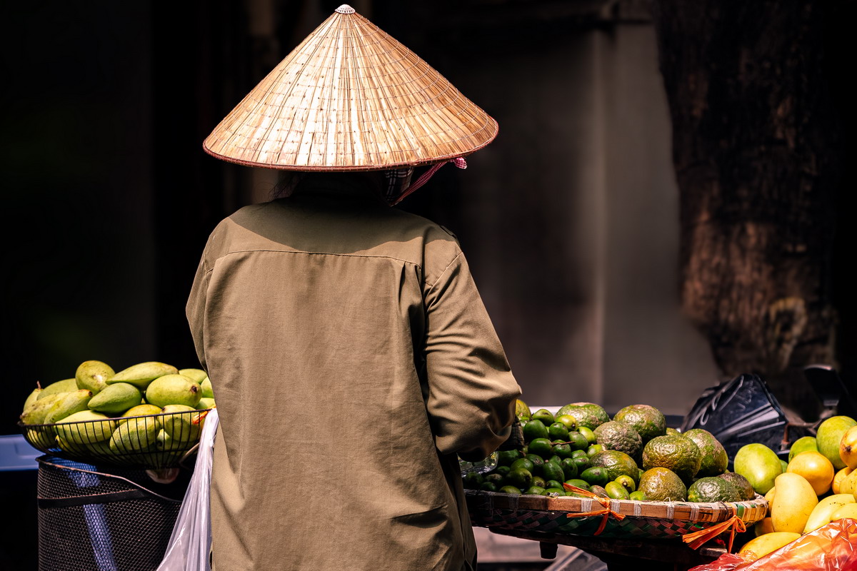 Vietnam: una perla nascosta dell’Asia, scopri i tesori inesplorati