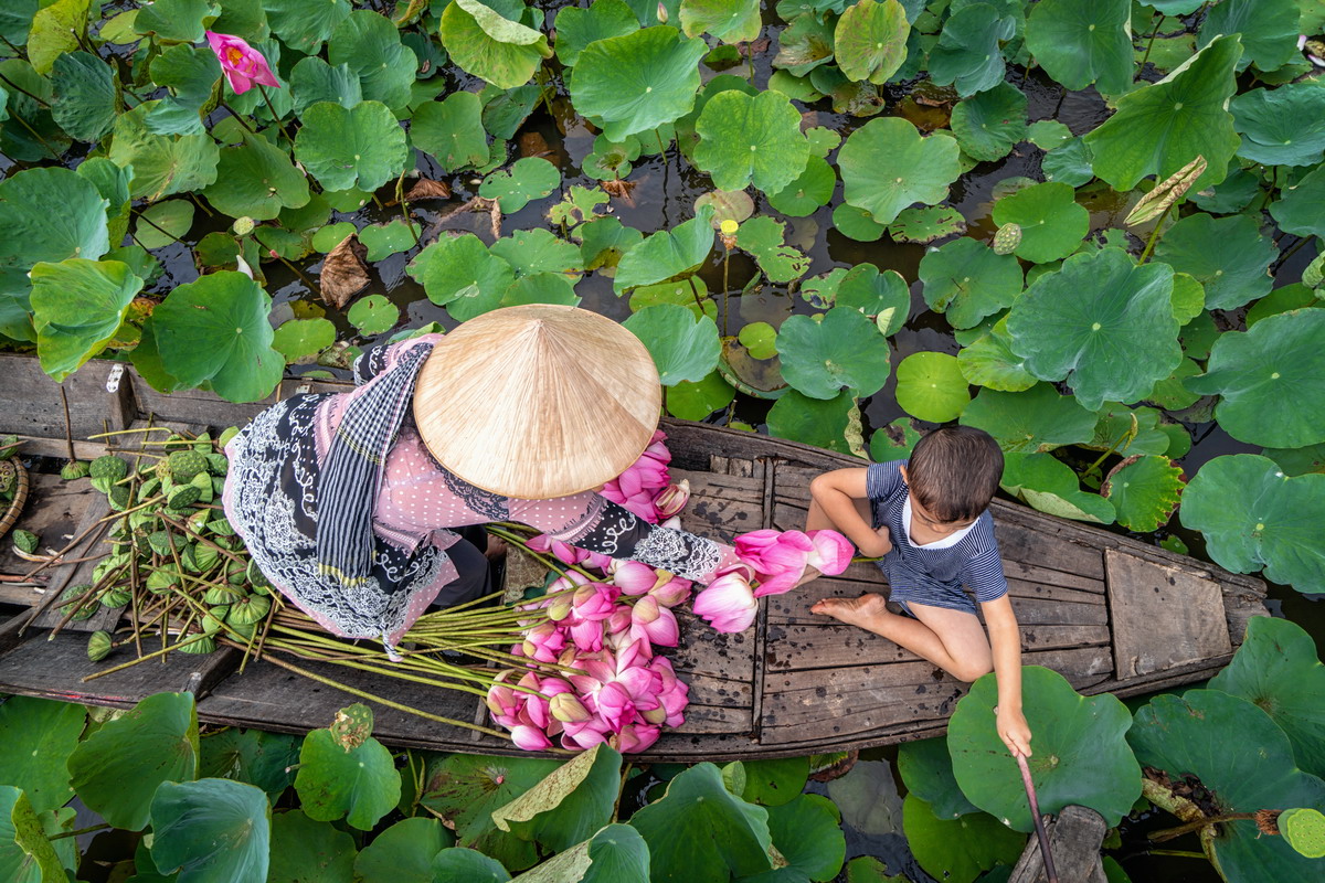 Vietnam verde: alla scoperta dei parchi nazionali e delle riserve naturali