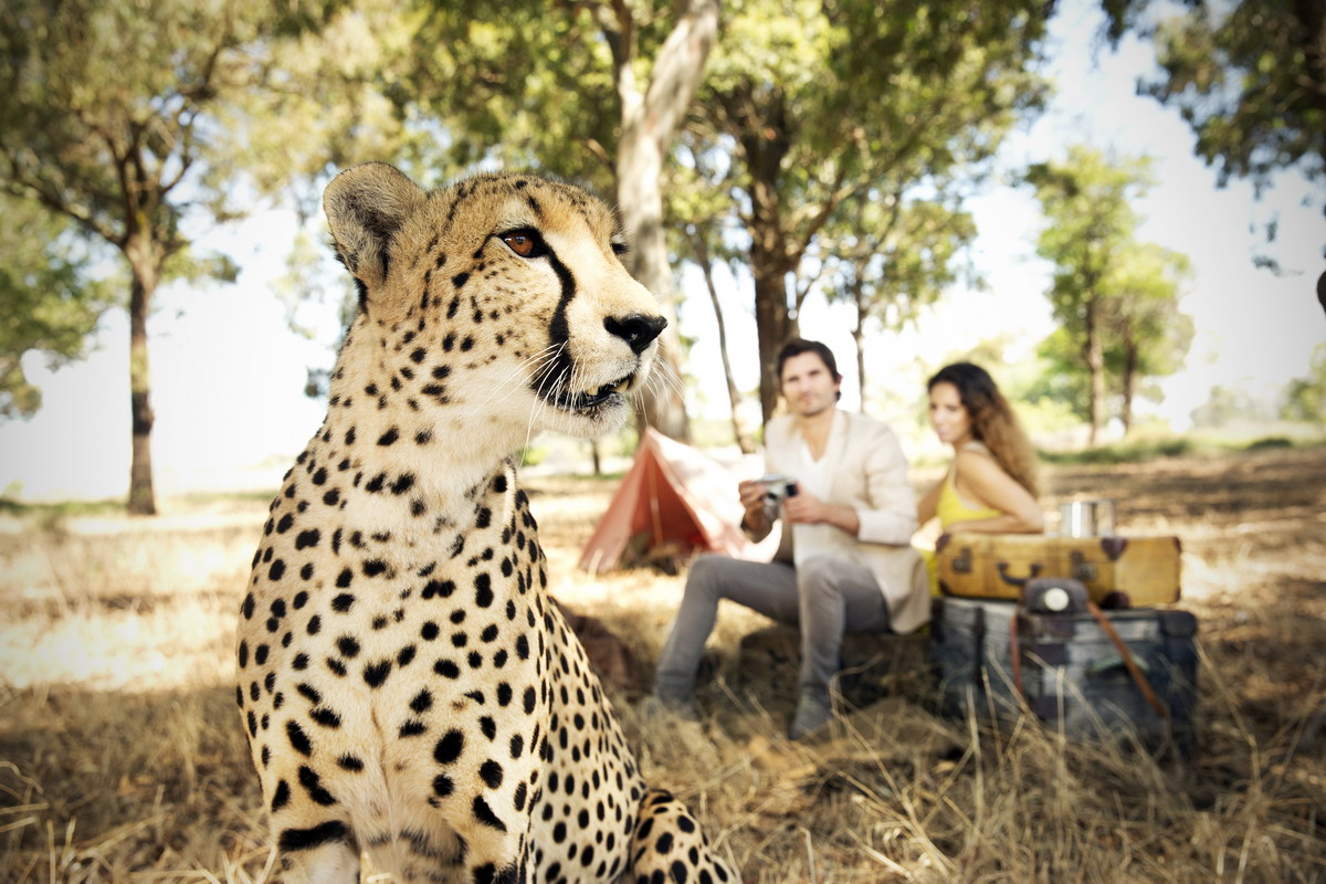 Safari di lusso in Botswana: un’esperienza esclusiva