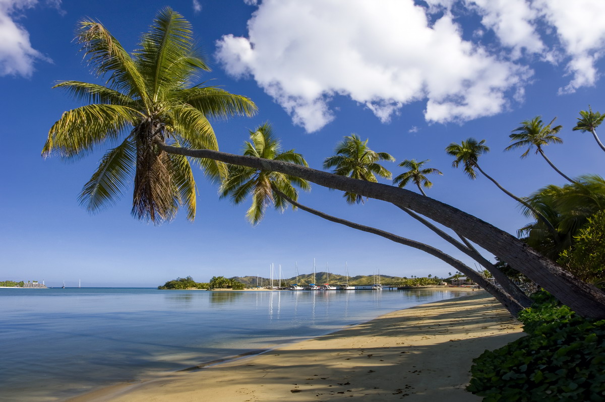 Guida al cibo e alla cultura gastronomica delle Fiji