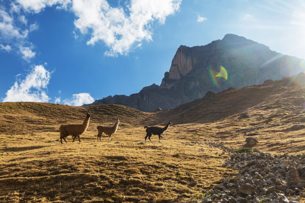 I tesori della valle sacra degli Inca: luoghi da non perdere