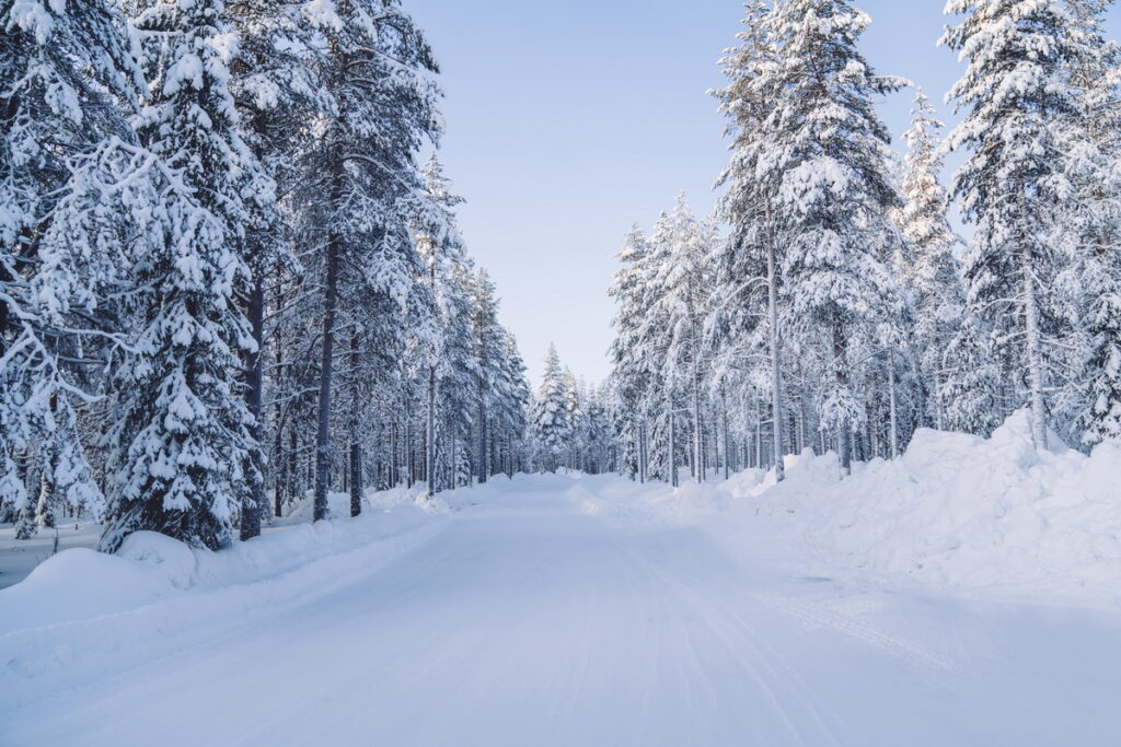 Viaggiare in Lapponia in estate: cosa aspettarsi