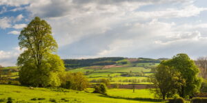 Alla scoperta della campagna inglese: guida completa