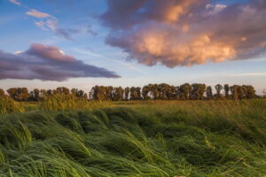 La Pampa, Argentina: guida completa per un viaggio indimenticabile