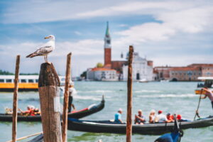 Venezia in coppia: esperienze romantiche nella città sull’acqua