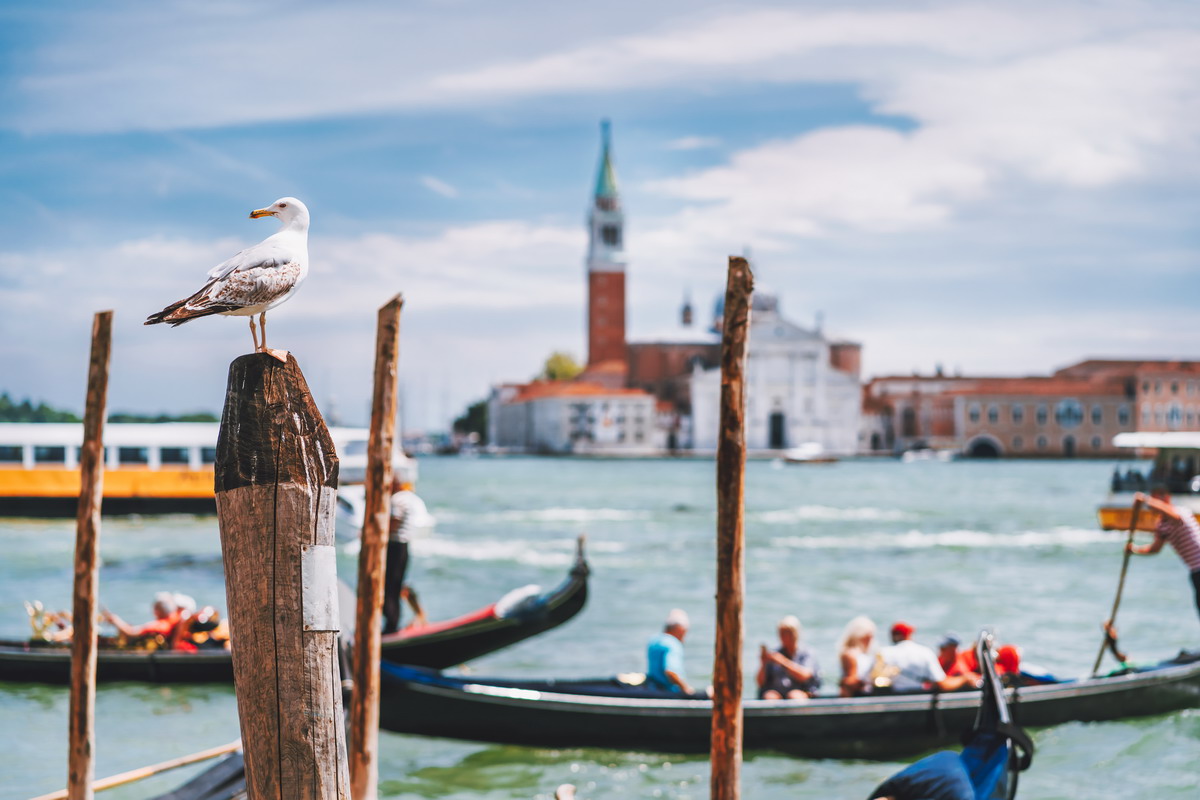 Venezia in coppia: esperienze romantiche nella città sull’acqua