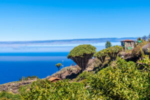 Dove dormire a La Gomera: hotel, appartamenti e case rurali