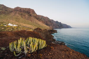 Cosa mangiare a La Gomera: piatti tipici e ristoranti da provare