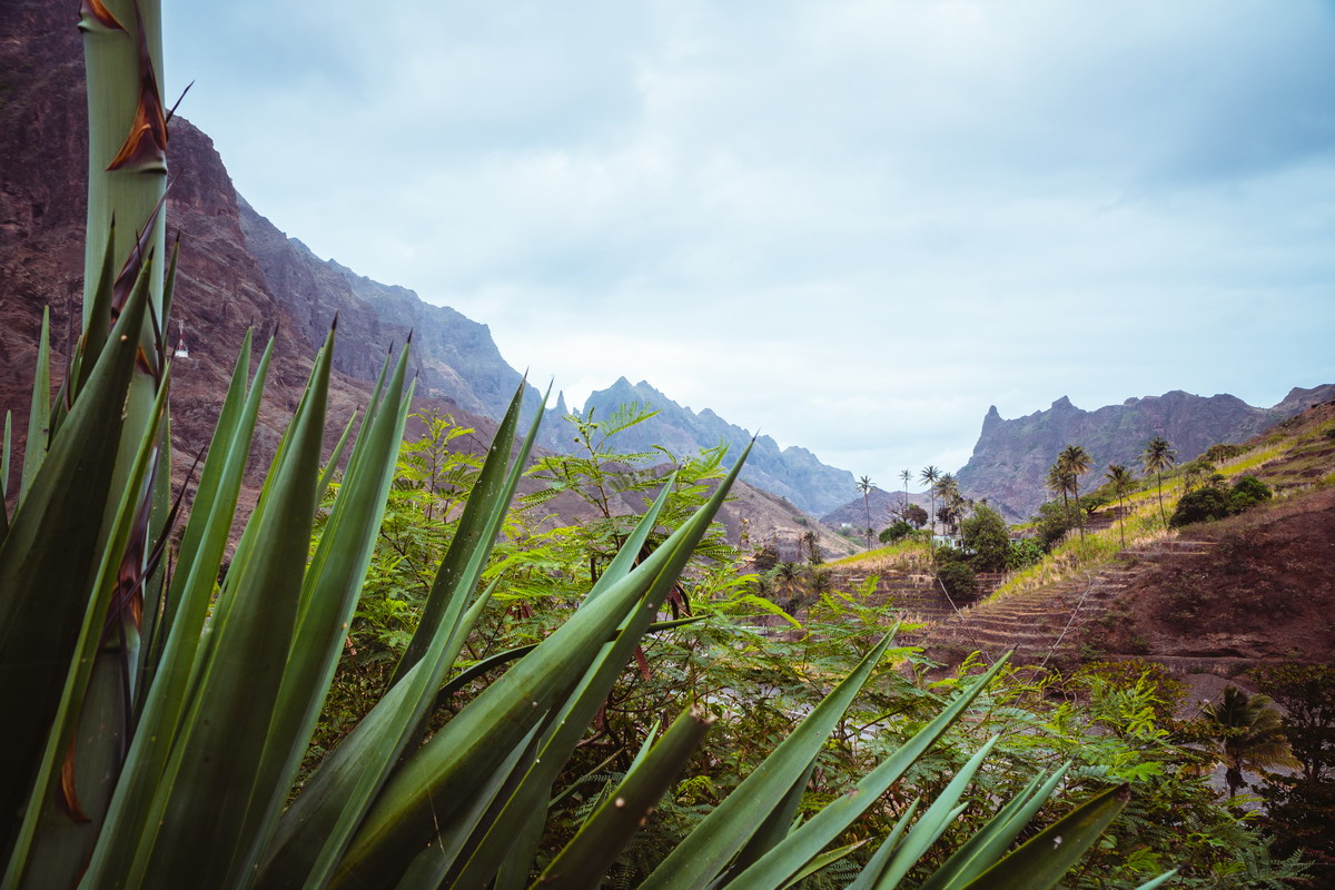 Il Parco Nazionale di Garajonay: cuore verde di La Gomera