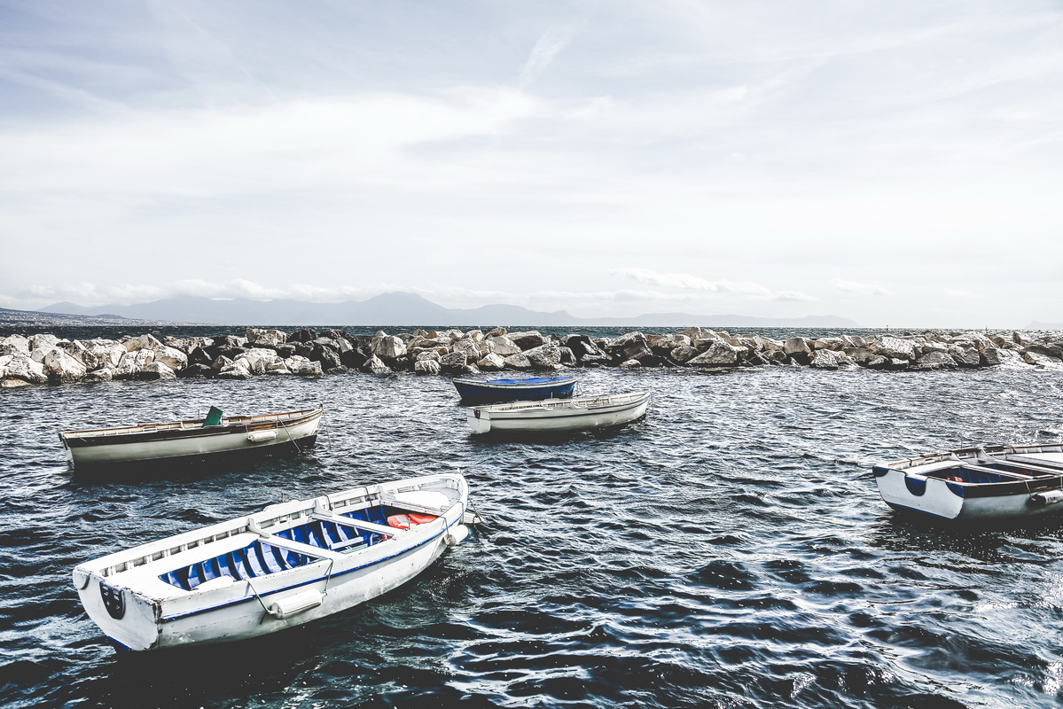 Spiagge dog-friendly in Toscana, ecco cosa c'è da sapere