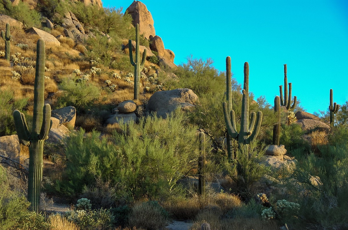 Le escursioni più belle da fare nei dintorni di Phoenix
