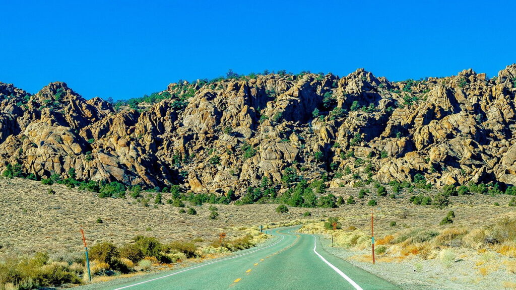 Guida ai parchi naturali di Phoenix: deserto, cactus e panorami