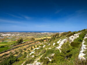 Arte rupestre e grotte della Dordogna: un viaggio nella preistoria